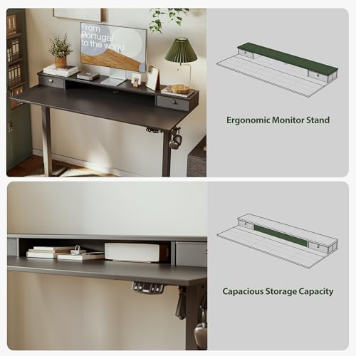 Agilestic 48 x 24 Inches Electric Standing Desk with 2 Storage Drawers, Adjustable Height Sit and Stand Computer Table with Splice Board, Black