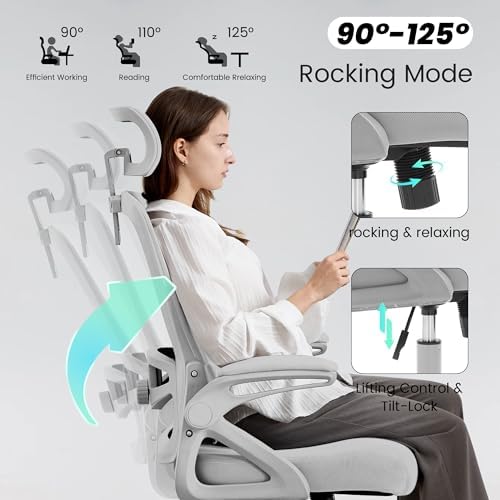 Fizzin Gray Office Chair, Mesh Desk Chair with Adjustable Lumbar Support