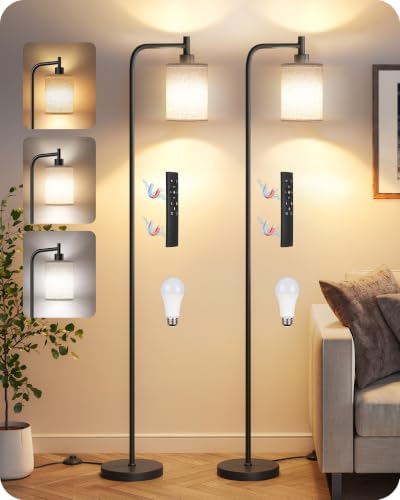 Dimmable Floor Lamp for Living Room with Remote & 10W Bulb
