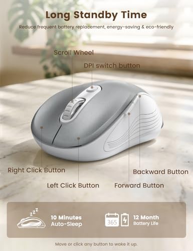 WisFox 2.4GHz Wireless Mouse for Laptop, Ergonomic 6-Button, Silver