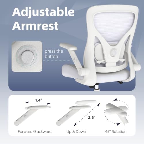 ralex-chair Ergonomic Office Chair with Adjustable Lumbar Support 350lbs
