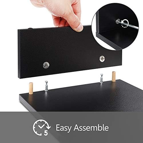 FITUEYES Wooden Monitor Stand Riser, 2-Tier Desk Storage Shelf, Black
