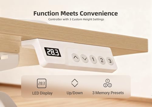 YDN 48 x 24 Inch Nature Electric Standing Desk