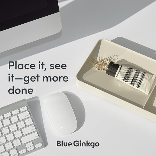 BLUE GINKGO Desk Organizer Tray, Beige, Made in Korea