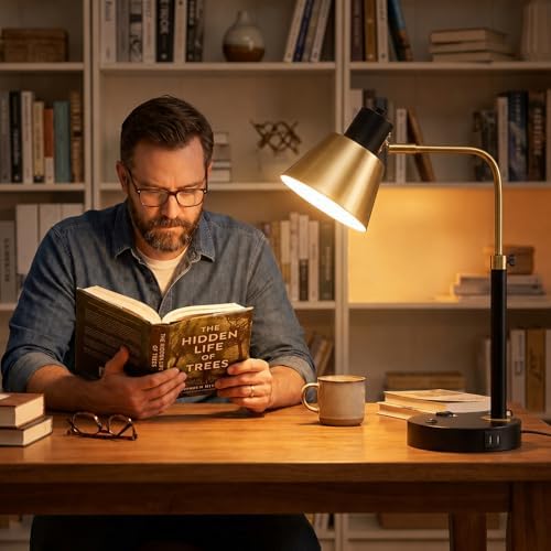 Adjustable Desk Lamp with Dual USB-C/A & AC Outlet 340° Swivel Lamp Head