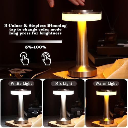 Riakrum 1 Pcs LED Cordless Table Lamp Bulk Rechargeable,Silver