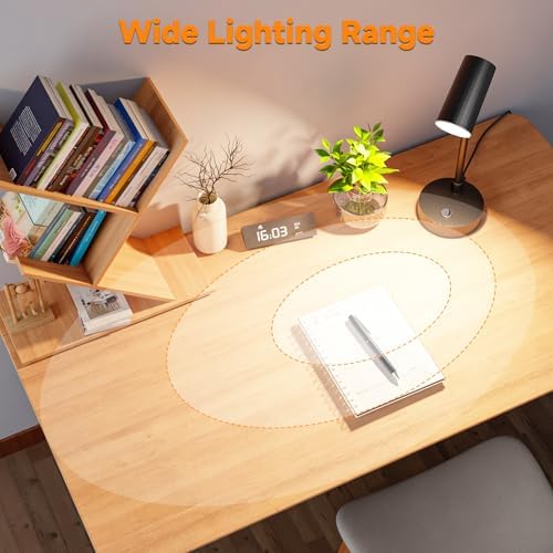 ShineTech LED Desk Lamp for Home Office, Small Table Lamp for Study & Work