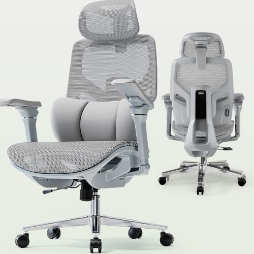 S9 Ergonomic Office Chair 3-Zone Lumbar Support for Back Pain Relief