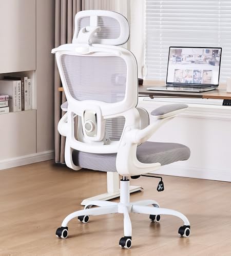 Ergonomic Office Chair, Executive Chairs with Adjustable Lumbar Support