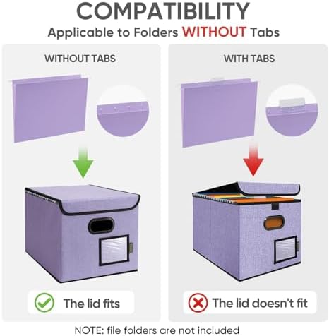 BALEINE File Organizer Box with Lid, Collapsible Hanging File Storage Box