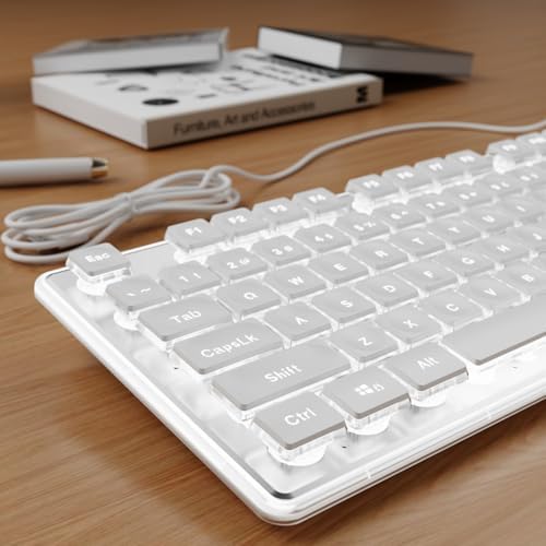 SEUNKWANG Wired Backlit Keyboard with Pudding Keycaps, Quiet Full Size Computer Keyboard White Backlight Easy-to-Read, Never Fade, Metal Panel, USB Cute Desk Setup for Windows PC Desktop, White