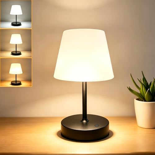 DOLADY Shower Lamp Waterproof, 4000mAh Battery Cordless Table Lamp (Black)