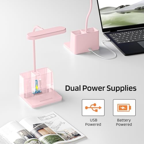 AXX Cute Desk Lamp, Pink Table Light for Women, Teen Girls