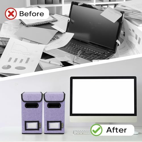 BALEINE File Organizer Box with Lid, Collapsible Hanging File Storage Box
