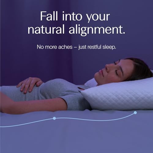 DreamyBlue Signature Adjustable Shredded Memory Foam Pillow King