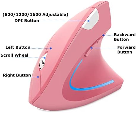 Wireless Mouse Ergonomic Vertical Ergo High Presion Optical Lightweight Cordless LED Light Large Cute Wireless Mouse for Laptop Computer Mac Office Girl Boy Adults Gift , 800/1200/1600 DPI, 6 Buttons