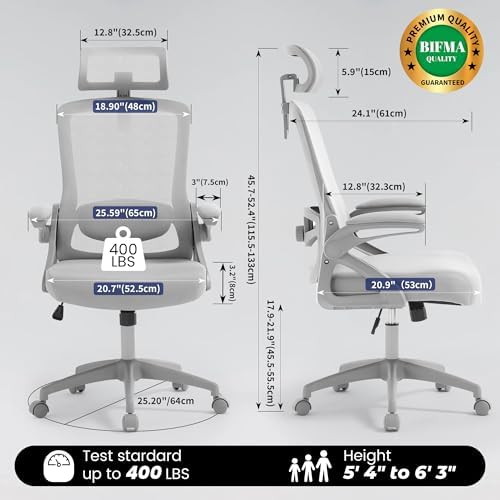 Fizzin Gray Office Chair, Mesh Desk Chair with Adjustable Lumbar Support