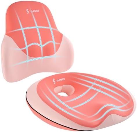FLORICH Seat Cushion Lumbar Support Pillow for Office Chair, Car Lower Back Support, Ergonomic Desk Chair Pillow for Butt and Back Support of Memory Foam Seat Pad(Blue Pink)