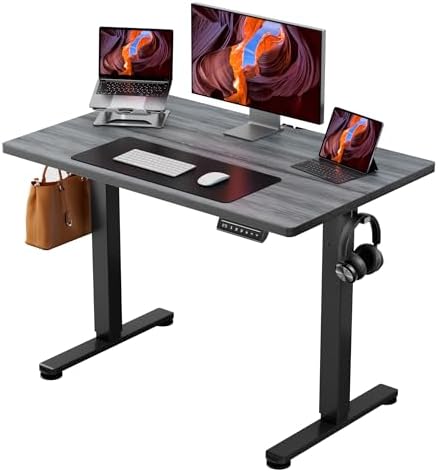 ErGear Height Adjustable Electric Standing Desk, 40 x 24 Inches Sit Stand up Desk, Memory Computer Home Office Desk, Grey