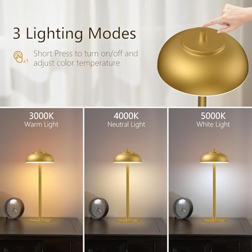 Cordless Table Lamps, Rechargeable LED Touch Lamp, Gold, 2 Pack