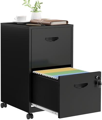 SteeLoong 2 Drawer File Cabinet,Metal Mobile File Cabinet with Lock Black