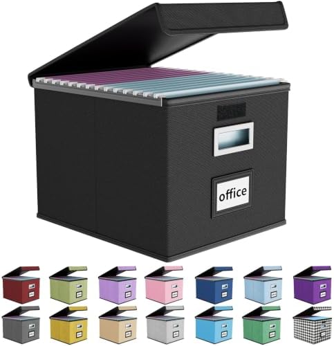 File Organizer Box with Lids, Collapsible File Folder Organizer