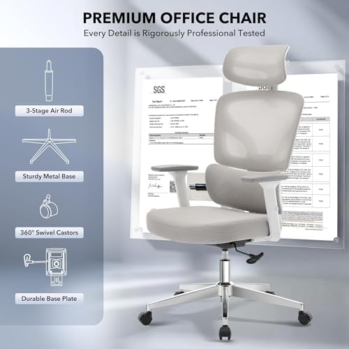 Ergonomic Office Chair with Adjustable Lumbar Support,Grey