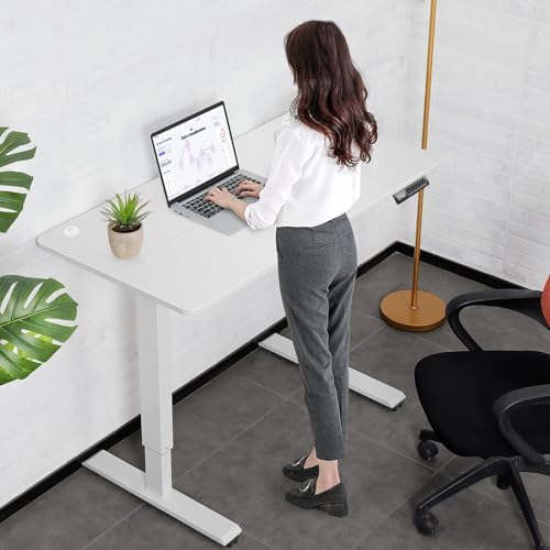 farexon 48x24 Inch Electric Standing Desk with Wheels, White