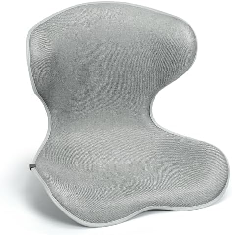 Season Guard Ergonomic Lumbar Support Pillow, Back Pain Posture Corrector