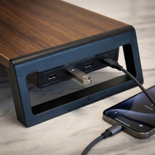 Zapuno Desk Organizer and Accessories, Computer Monitor Stand Riser with USB Hub , Laptop Stand