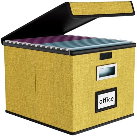 File Organizer Box with Lids, Collapsible File Folder Organizer