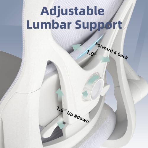 ralex-chair Ergonomic Office Chair with Adjustable Lumbar Support 350lbs