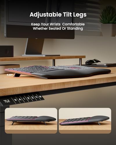ProtoArc EKM01 Plus Wireless Ergonomic Keyboard Mouse Combo - Wine Red
