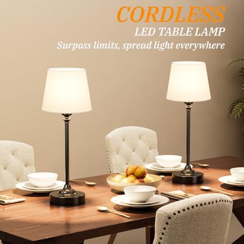 Kakanuo Cordless Table Lamp Rechargeable Black - 1 Pack 4000mAH Battery Operated Lamp for Decor, 3000K Stepless Dimming Touch Control Wireless Lamp for Bedroom, Dining Table, Kitchen, Living Room