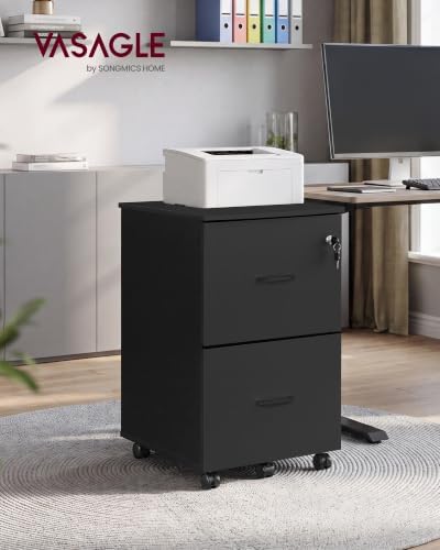 VASAGLE 2-Drawer File Cabinet, Small Rolling, Locking, Printer Stand