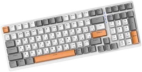predolo Russian Mechanical Gaming Keyboard 100 Keys, Ergonomics,RGB, Backlit, USB Wired Plug and Play Durable Portable 98% Allocation for PC Laptop, Style E