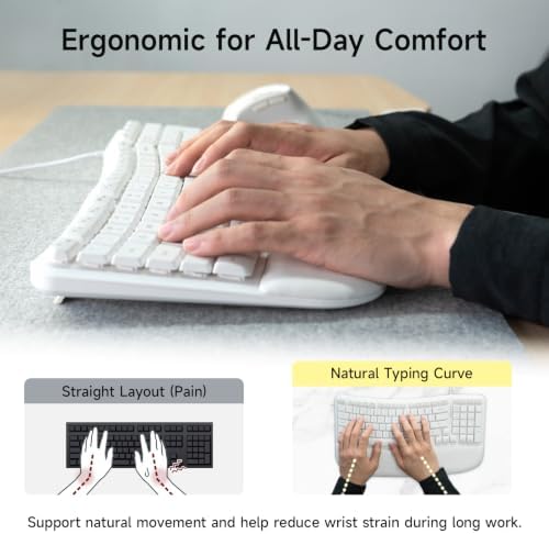 SANWA Wired Ergonomic Keyboard, Curved Wave Keyboard with Cushioned Wrist Rest, Compact Full-Size Layout, USB-A & C Port, 13 Shortcuts Keys, Natural Typing, Compatible with Win/Mac, Laptop, PC, White
