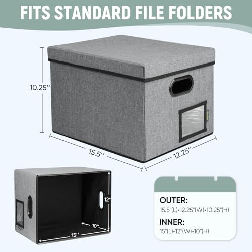 BALEINE File Organizer Box with Lid, Collapsible File Folder Organizer with Plastic Slide, Filing Box for Office Home Document Organizer Storage (Gray, 1PK)