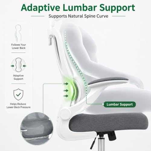 Ergonomic Mesh Office Chair, Headrest, Lumbar Support, Flip-up Arms