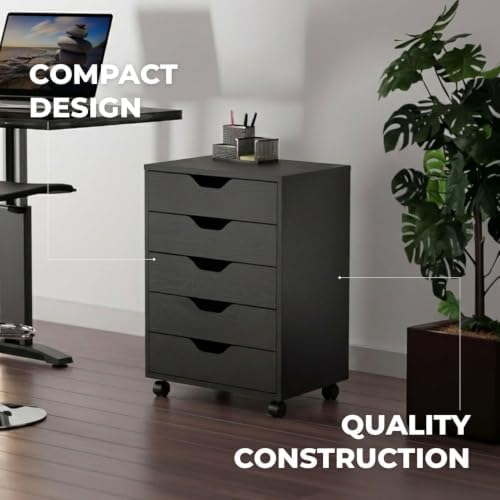 Winsome Halifax 5-Drawer Storage Cabinet, Black (20519)
