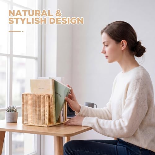 Novabright Synthetic Rattan 3-compartment File Magazine Holder, Suit for B5