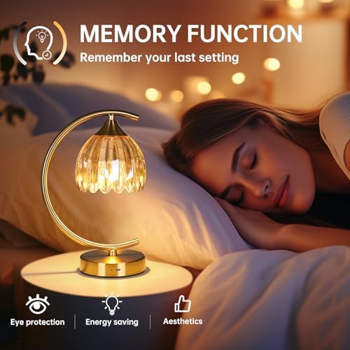 Shenmoyl Set of 2 Tulip Table Lamp, 5200mAh Cordless Touch Control Table Lamp with 3 Color Temps & Stepless Dimming, Rechargeable Battery Table Lamp for Living Room, Bedroom, Shelf (Amber Tulip)