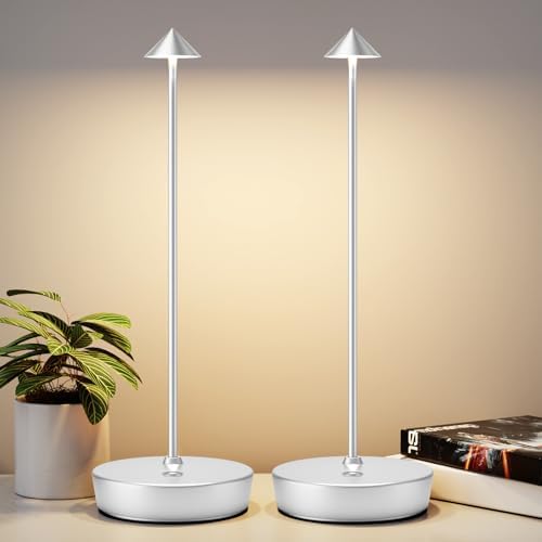 2Pack Rechargeable Cordless Table Lamp, Portable Powered LED Battery 6000mAh Metal USB Desk Lamp, 3 Levels Brightness Light for Restaurants Outdoor (2pack Silver)