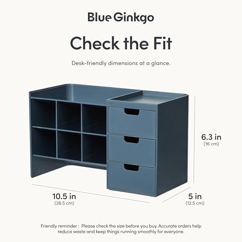 Blue Ginkgo Stackable Desk & Pen Organizer, Blue, Made in Korea