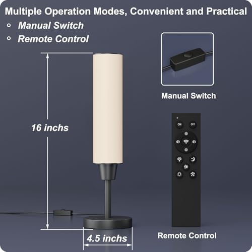 Nukanu Table Lamp with Remote, Black