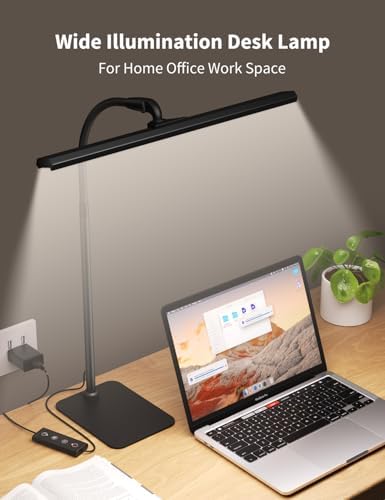 Kary LED Desk Lamp, Flexible Gooseneck Task Light with Base and Timer