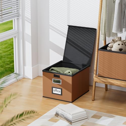 File Organizer Box with Lids, Collapsible File Folder Organizer