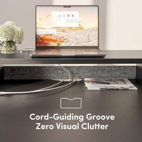 CubiCubi 55 x 28 Inch Electric Standing Desk with 2 Drawers, Black
