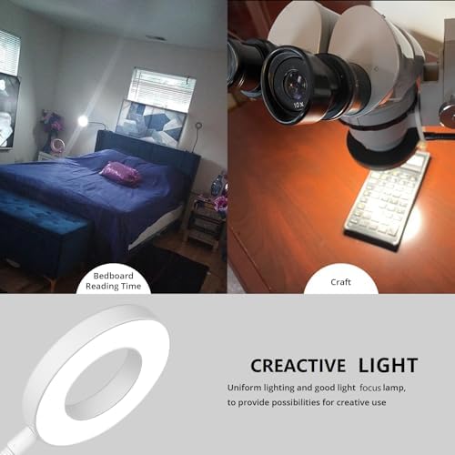 Woputne Desk Lamp Clip on Desk Reading Lights for Books in Bed (White)
