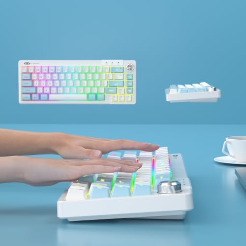MageGee Mini 60% Gaming Keyboard, RGB Backlit Ultra-Compact Keyboard, TS68 Ergonomic Waterproof Mechanical Feeling Office Computer Keyboards for PC, MAC, PS4, Xbox ONE Gamer